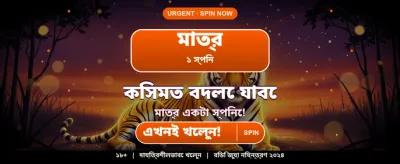 pkok ক্যাসিনো গেম